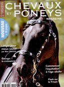 chevaux et poneys septembre 2008