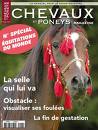 chevaux et poneys