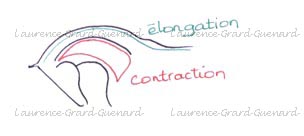 locomotion