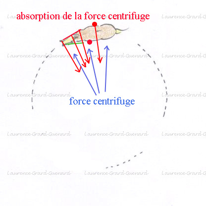 force centrifuge