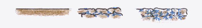 gel